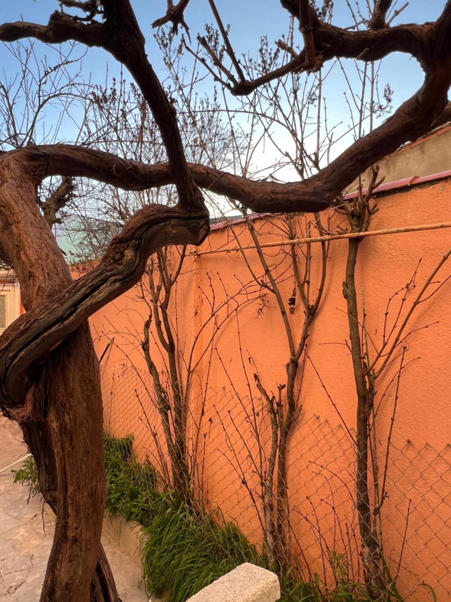 Apartament Zamora Enamora Zewnętrze zdjęcie